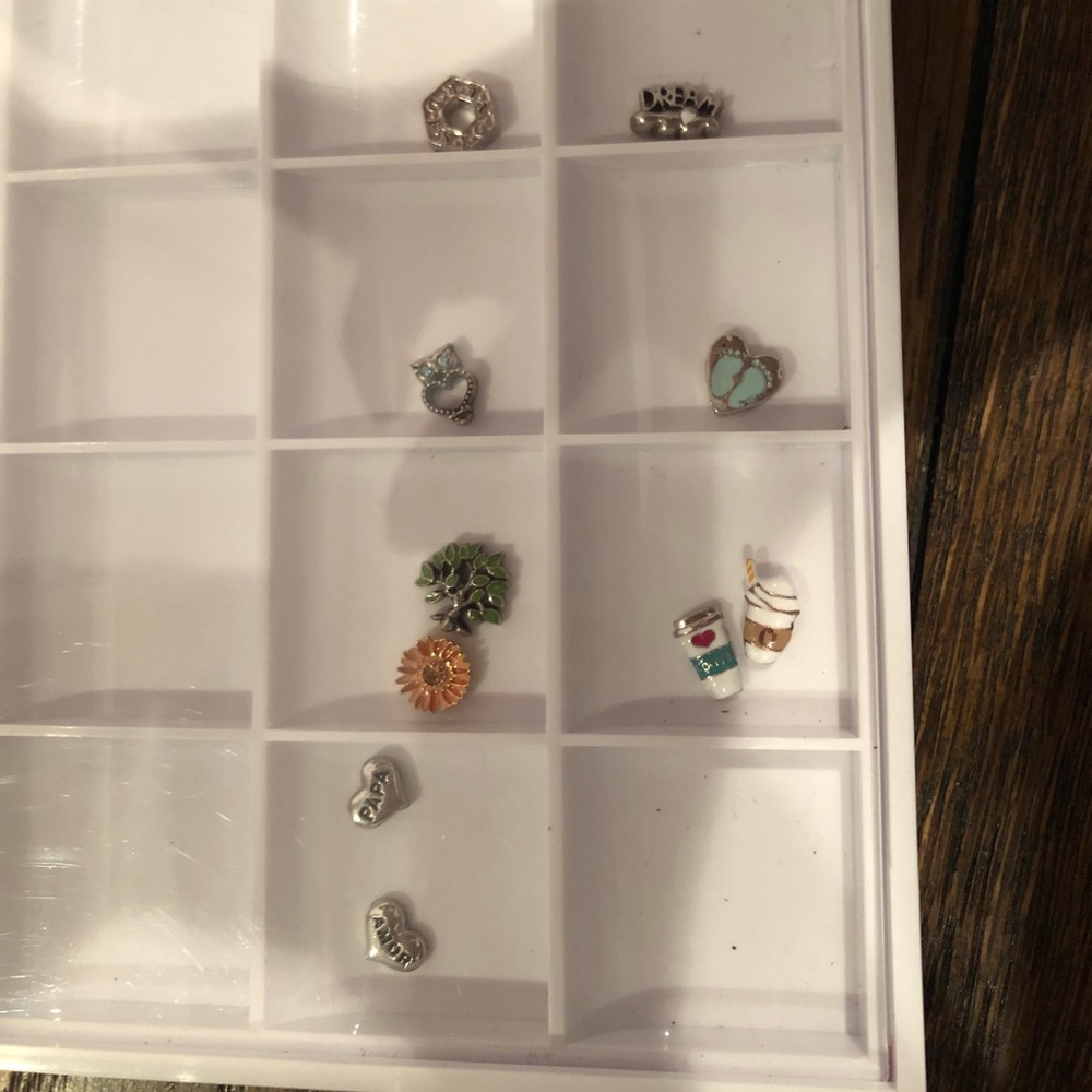 OrigamiOwl charms